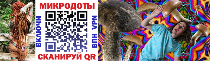 Купить  Воскресенск  Галлюциногенные грибы Psilocybe 
